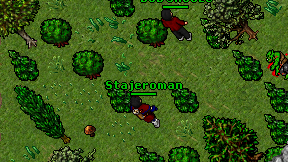 Stajeroman on screen