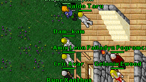 Dam-kam on screen