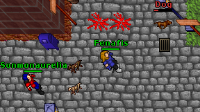 Fenafis on screen
