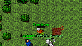 Gamiwop on screen
