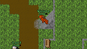 Vizute on screen