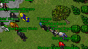 Trexpe on screen