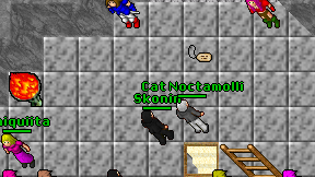 Skonin on screen