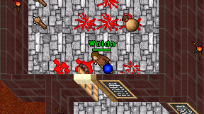 Wolda on screen