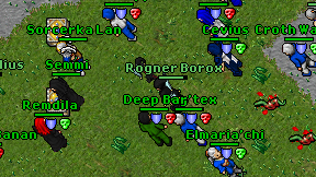 Rogner Borox on screen