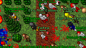 Flokss on screen