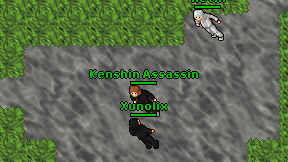 Kenshin Assassin on screen