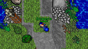 Domera on screen