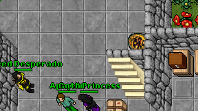 Goth Princess on screen