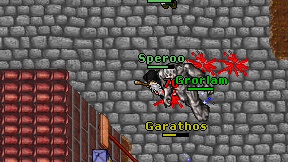 Speroo on screen