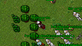 Poligardo on screen