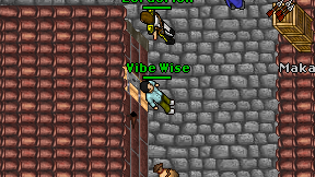 Vibe Wise on screen
