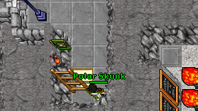 Polar Skunk on screen