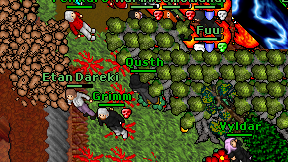 Qusth on screen