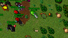 Detorn on screen