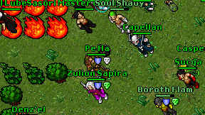 Pe Ha on screen