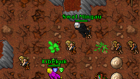 Swat Mingau on screen