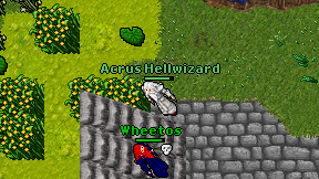 Acrus Hellwizard on screen