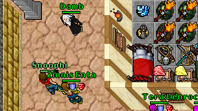 Damb on screen