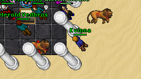 Kvinna on screen