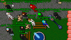 Xexal on screen