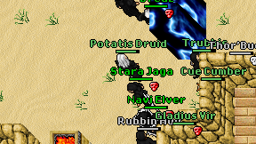 Potatis Druid on screen