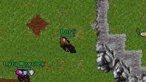 Borii on screen