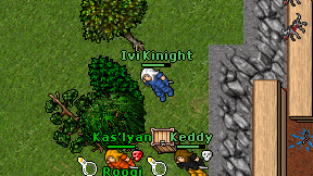 Ivi Kinight on screen