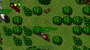 Budam'Thor on screen