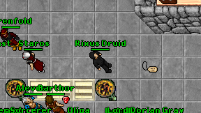 Rixus Druid on screen