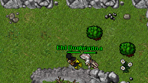 Ehl Quesos on screen