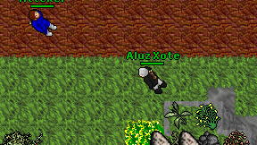 Aluz Xote on screen