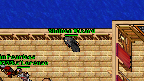 Shillien Wizard on screen