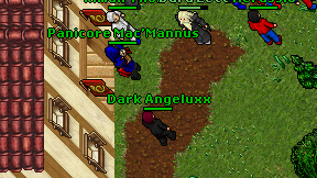 Dark Angeluxx on screen