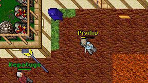 Piviho on screen