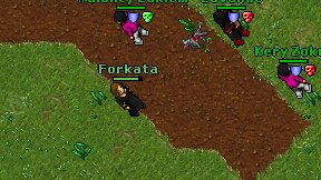 Forkata on screen
