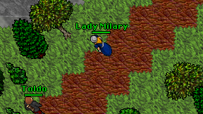Lady Milary on screen