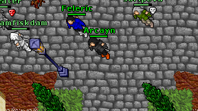 Arcayn on screen