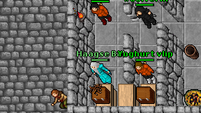 Haagse Bal on screen