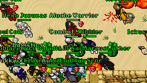Combat Sniper on screen