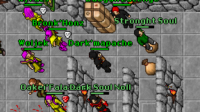 Dark'mapache on screen