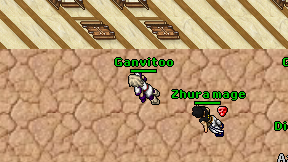 Ganvitoo on screen