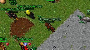 Homeronja on screen
