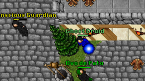 Ghost Druid on screen