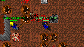 Rapto wolf on screen