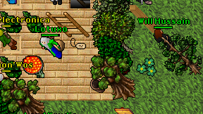 Lotuxo on screen