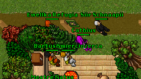 Cathius on screen