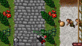 Tai-mani on screen