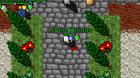Irvine Validus on screen