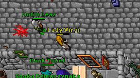 Lady Wirgi on screen